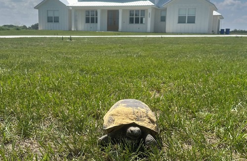 Lake Placid Casa | NEW BUILD! Family Retreat 4BR Home & Pool on 10 acres