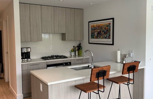 Lower Lonsdale Condominio | New Condo in Parklike setting