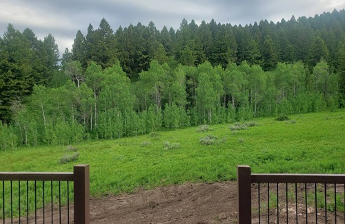 Island Park Cabina | New construction, hot tub, 12 miles to Yellowstone, WiFi, AC, firepit,