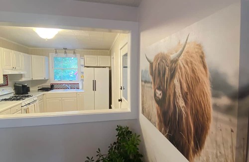 Baldwin City Casa | New! Cozy Cottage Just Blocks From Baker Campus