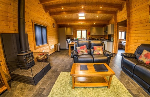 Fordingbridge Cabina | New Forest Lodges