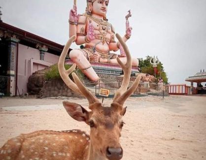 Trincomalee Casa | New Grand Hotel