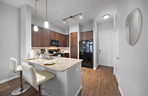 South Main Apartamento | New Lake view King bed apartment by the NRG