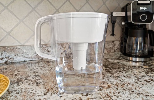 Dixieland Casa | NEW Lakeland Landing Cute Bungalow by Downtown