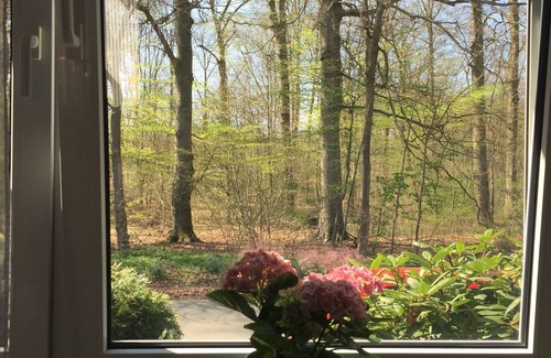 Wilschenbruch Apartamento | NUEVO! Vivienda de 3 ambientes moderna en Lüneburg, cerca del pueblo, tranquila, con 4 bicicletas