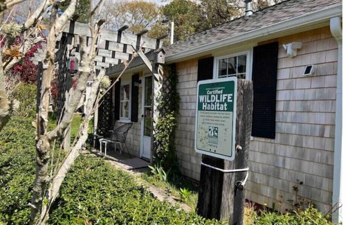 East Falmouth Cabaña | NEW! Nature's Nook Peaceful Cottage Close to All