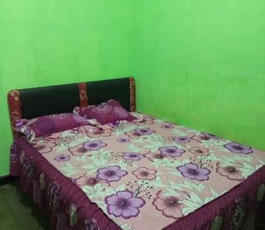 Kalipuro Casa | NEW OLIVIA Homestay