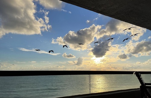 New Smyrna Beach Condominio | #New Smyrna Beach #Pet Friendly Luxury Spacious #Oceanfront Condo