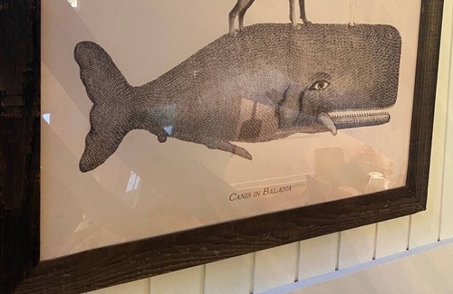 Country Club Estates Casa | New! Wow! Classic, bright Lakehouse with separate living spaces, 1 min to beach