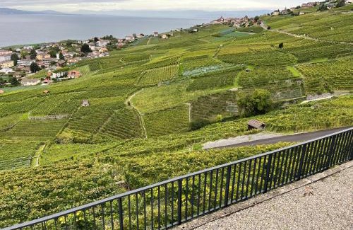 Cully Apartamento | Newly Renovated APT with panoramic view