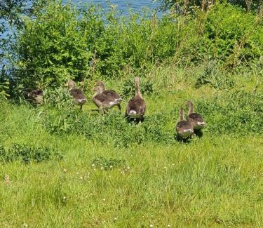 Craigavon Casa | Newly Renovated Country Cottage