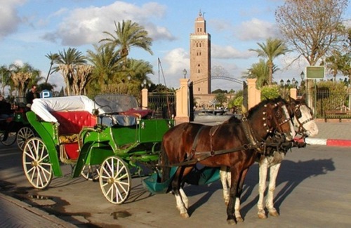 Majorelle Apartamento | Junto a Majorelle Park & Yves Saint Laurent Museo-Servicios y excursiones completos