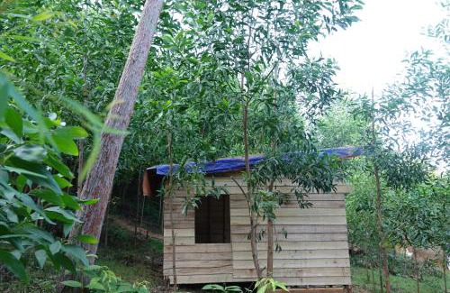 Son Trach Casa | Nguyen Shack Retreat Resort