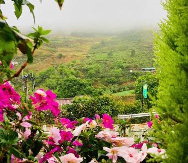 Da Lat Casa | Nhà Hoa Nắng Homestay Cầu Đất Đà Lạt