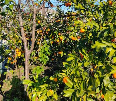 Tsqaltubo Casa | NI- KE