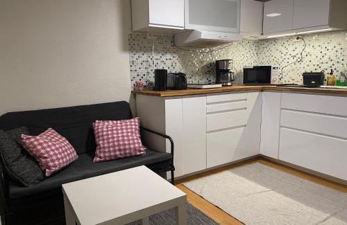 Oslo Apartamento | Nice Apartment with1 bedroom Separate living room with a sofa bed and a tiny kitchen a bathroom located in Nordstrand near by the Sea for 3 guests with a garden and grill with sea view just outside the apartment