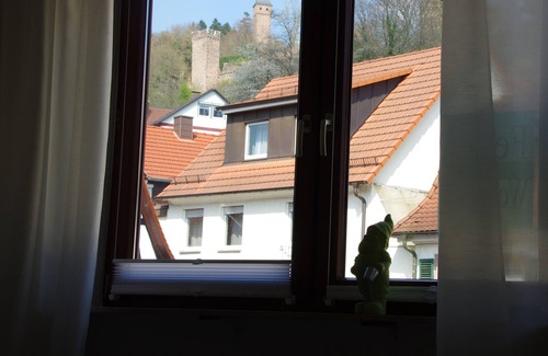 Hirschhorn Apartamento | Bonito apartamento central con conexión S-Bahn a Heidelberg y vista al castillo