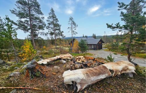 Atra Casa | Nice Home In Tinn Austbygd With Sauna