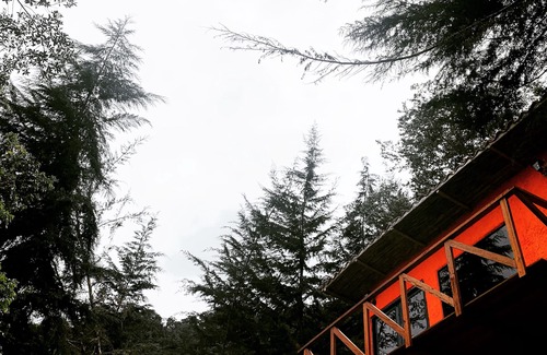 Bouvet Island Cabina | Nice mountains cabin in Floridablanca, Santander, Colombia!