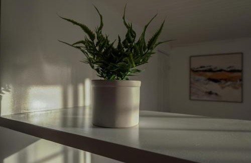 Zarcero Apartamento | Nido del Parque, Zarcero