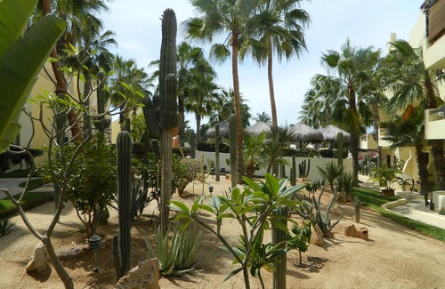 Centro de San José del Cabo Condominio | Hermoso Condominio Club La Costa