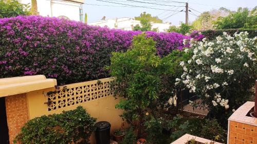 Oulad Khallouf Cama Y Desayuno | No21 Loulan Villa21号别墅民宿