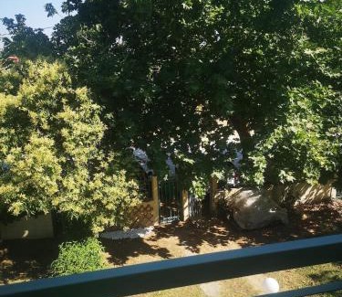 Nikita Casa | Noka Nikiti