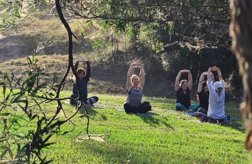 Pomona Complejo | Noosa Eco Retreat