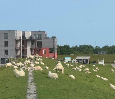 Pellworm Apartamento | Nordseeblick Wohnung Möwe