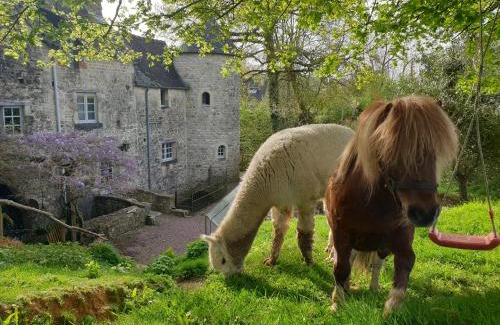 Aignerville Cama Y Desayuno | Normandieheritage14 Moulin de la Bretonnière - OMAHA BEACH