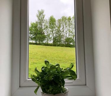 Gilsland Apartamento | North View Cottage next to Hadrian's Wall