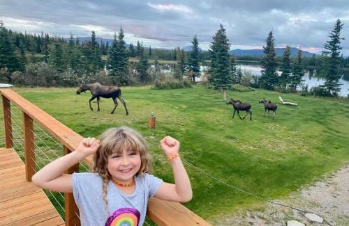 Healy Casa | Northern Lights from Hot Tub, Denali National Park