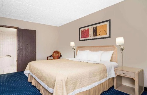 La Crosse Hotel | Norwood Inn and Suites Lacrosse - Standard 1 King Bed Non Smoking