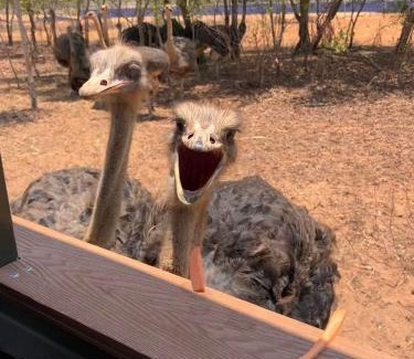 Phan Thiet Villa | Novaworld Beach villa