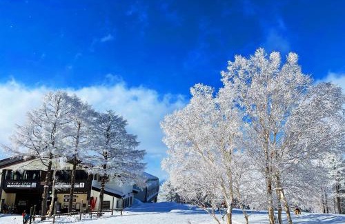 Nozawaonsen Hotel | nozawasnow - Vacation STAY 86362v