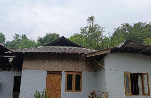 Mokokchung Casa | Nungsangjungla Homestay