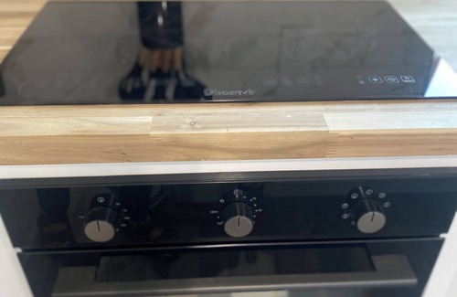 Parkway-South Sacramento Cabaña | Nurture, Nature in The Garden Flat 1-bedroom detached home with AC