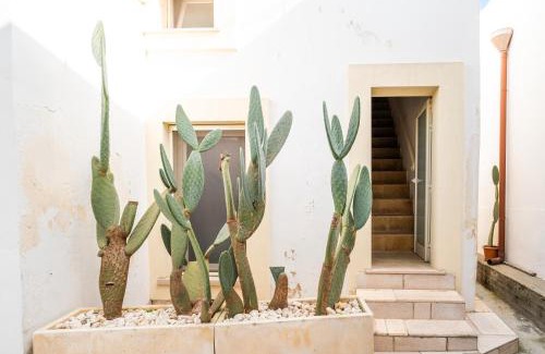 Veglie Casa | Nuvò-Lux e Spa