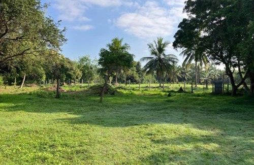 Attikulama Casa | Nuwara Wewa Holiday Resort