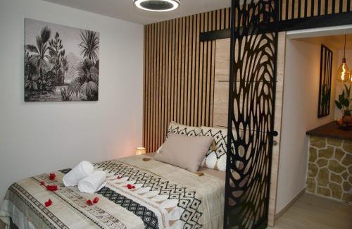 Centre Ville Apartamento | O'Meublés des 2Bois- Le Filao-Piscine chauffée & Spa