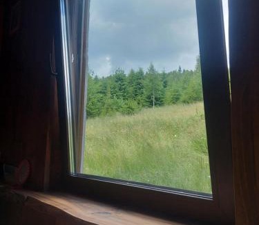 Polyanytsya Apartamento | Oak House