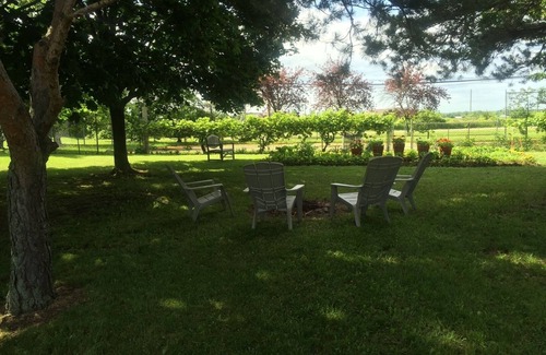 Louth Cabaña | Oak Lane Cottage, entorno rural en la ruta del vino, fácil acceso a NOTL