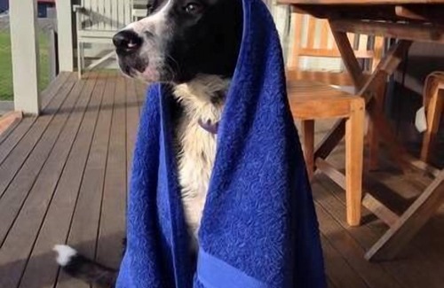 Corruna Cabaña | Oakleigh Farm Cottages