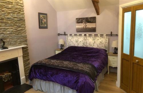Newcastle Emlyn Casa | Oakley Bed & Breakfast - Vegetarian, Vegan