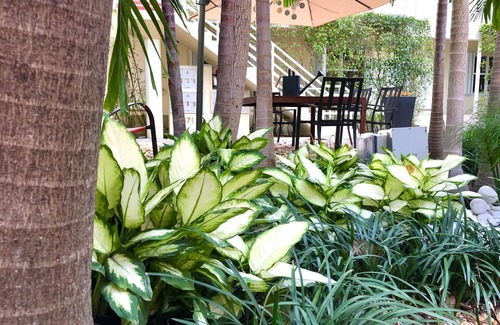 Edgewater Apartamento | Oasis-01 5 MIN FROM MIAMI BEACH, Studio, Miami Design District & Wynwood