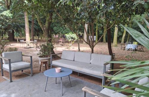 Santiago de Compostela Casa | Oasis en Ponte San Lázaro