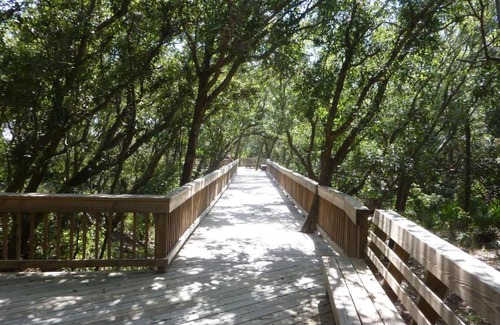 Jekyll Island Casa | OCEAN HUES at OCEAN OAKS by Jekyll Realty