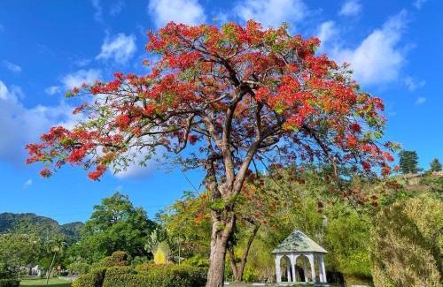Castle Comfort Hotel | Ocean Oasis Hotel Dominica
