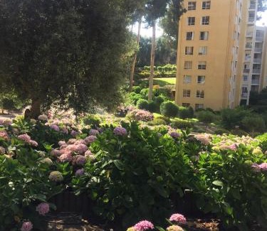Caleta Horcon Apartamento | Ocean View Apartment in Family Complex