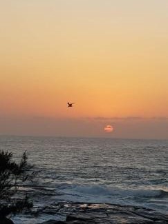 Port Edward Apartamento | Ocean View Villas A08